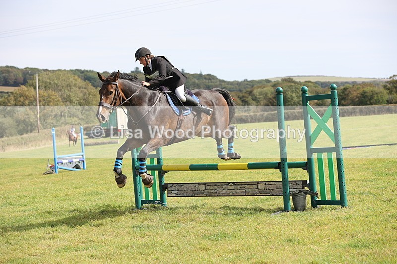 JPP_8813 - Class 2: Trekenning: 80cm Showjumping