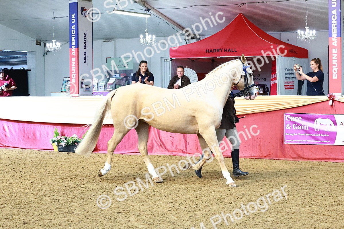 SBM_22436 - Class 902 - Supreme Final - IH Diamond