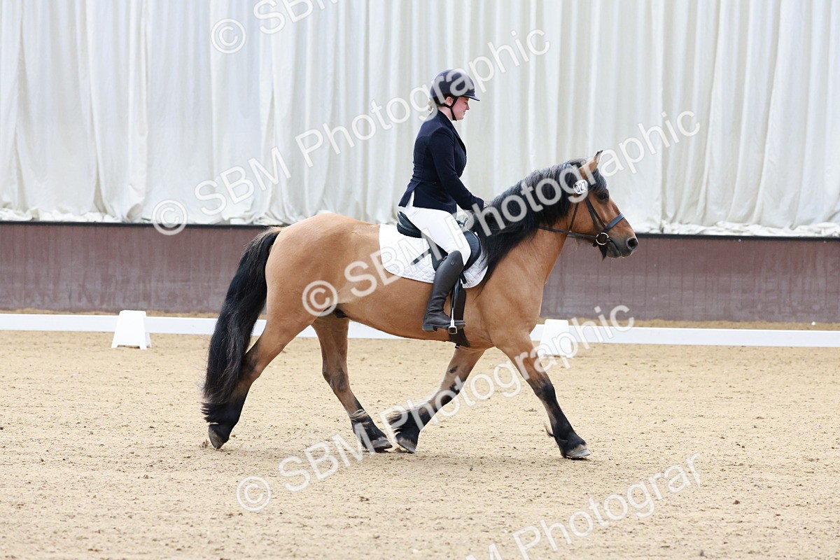 SBM_003196 - Intro 2