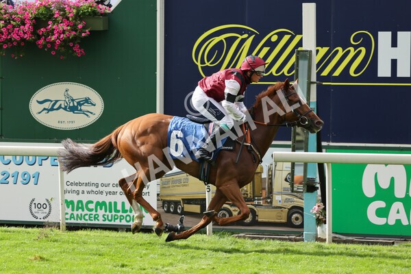 yr24092021r1-131 - Race 1 1.10pm Ernest Cooper Macmillan Ride of Their Lives