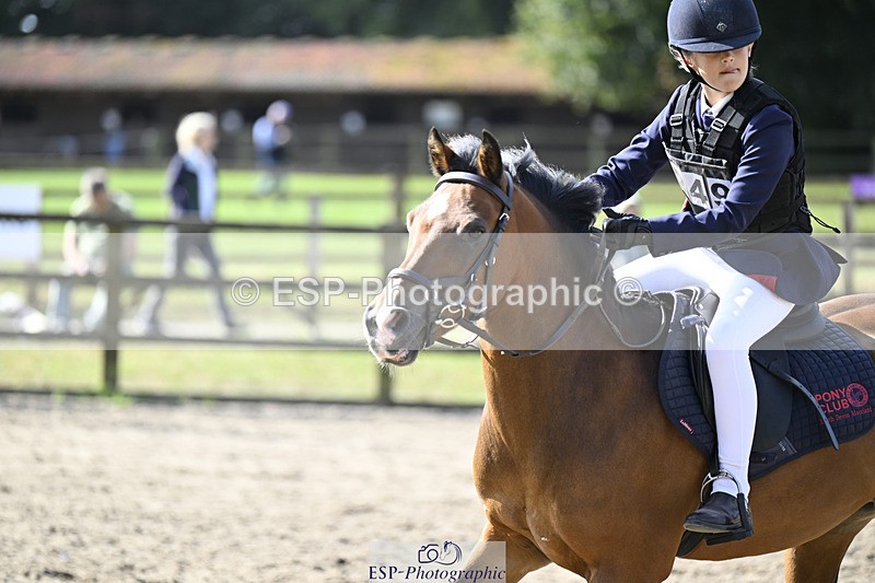 240823X-101246-15101 - 60cm R2 9.30 to 11.00