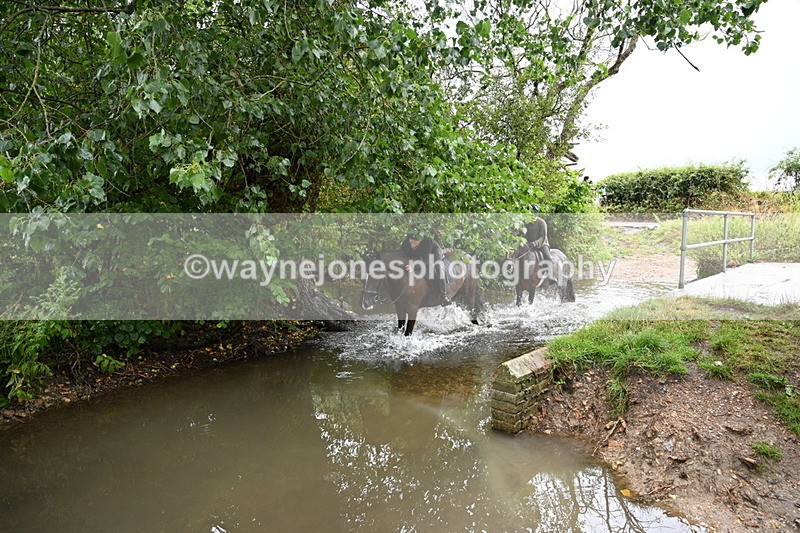 WJ7_8683 - Group 3