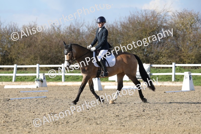 20260314-5864 - DR8 - Elementary 2