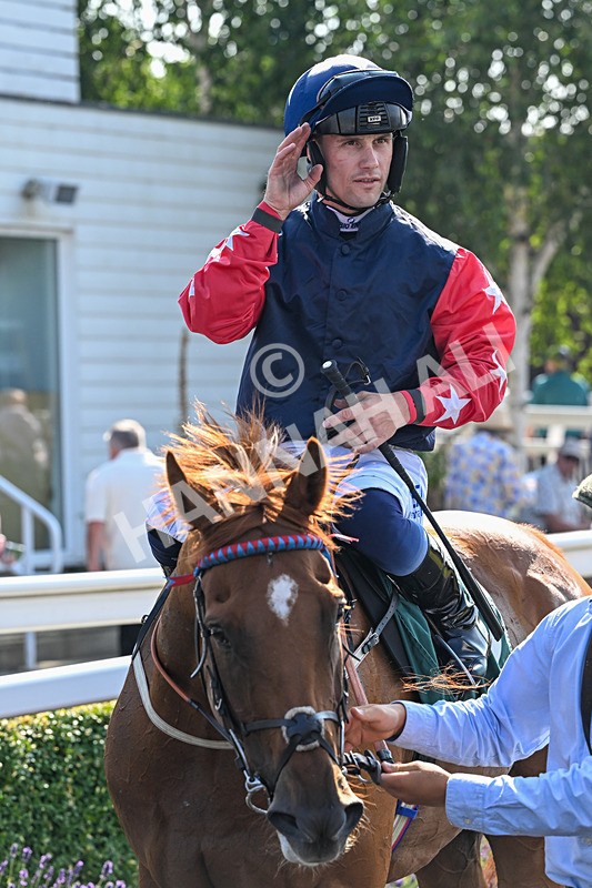 150726-Race 6-Our Absent Friends-3771 - Race 6 16.40pm Racing Again 22nd July Handicap