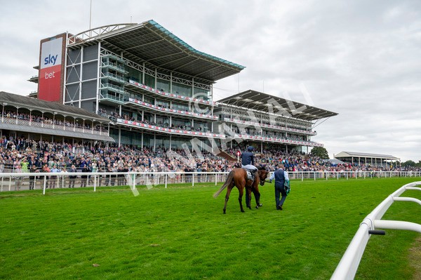 210824-Race 4-City Of Troy-5199 - Race 4 3.35pm Juddmonte International Stakes
