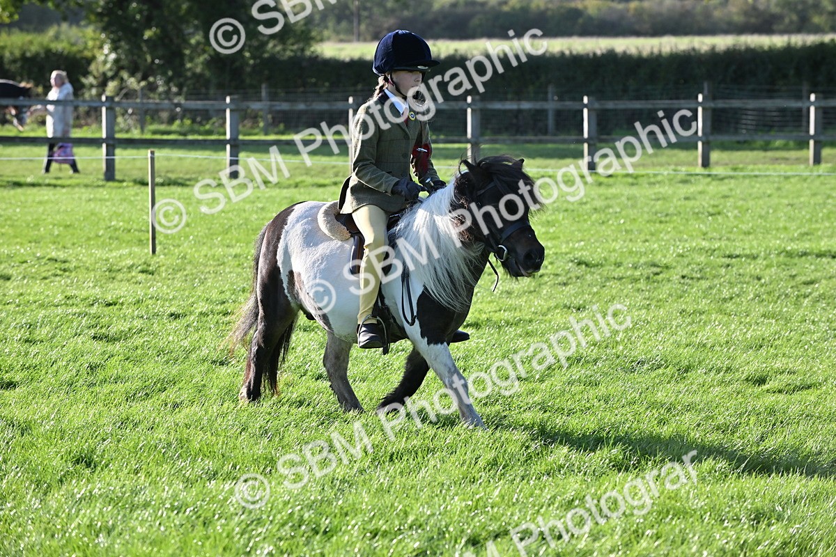 SBM_53055 - S23 - First Ridden Mountain & Moorland Pony