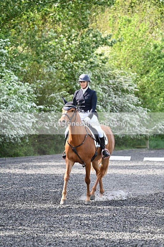 WJ7_7891 - Time 10:11 to 10:27