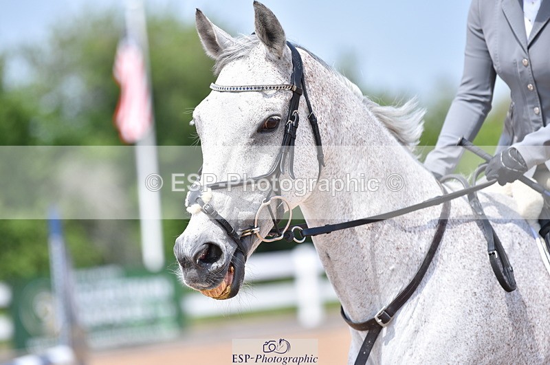 230609A-124441-00961 - Cls 10 85cm Amateur Qualifier