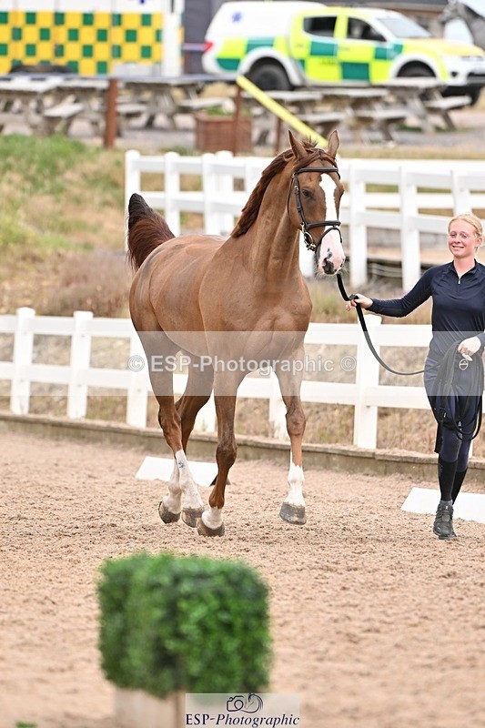 250716-161510-02517 - Trot Up 3.30 to 4.30