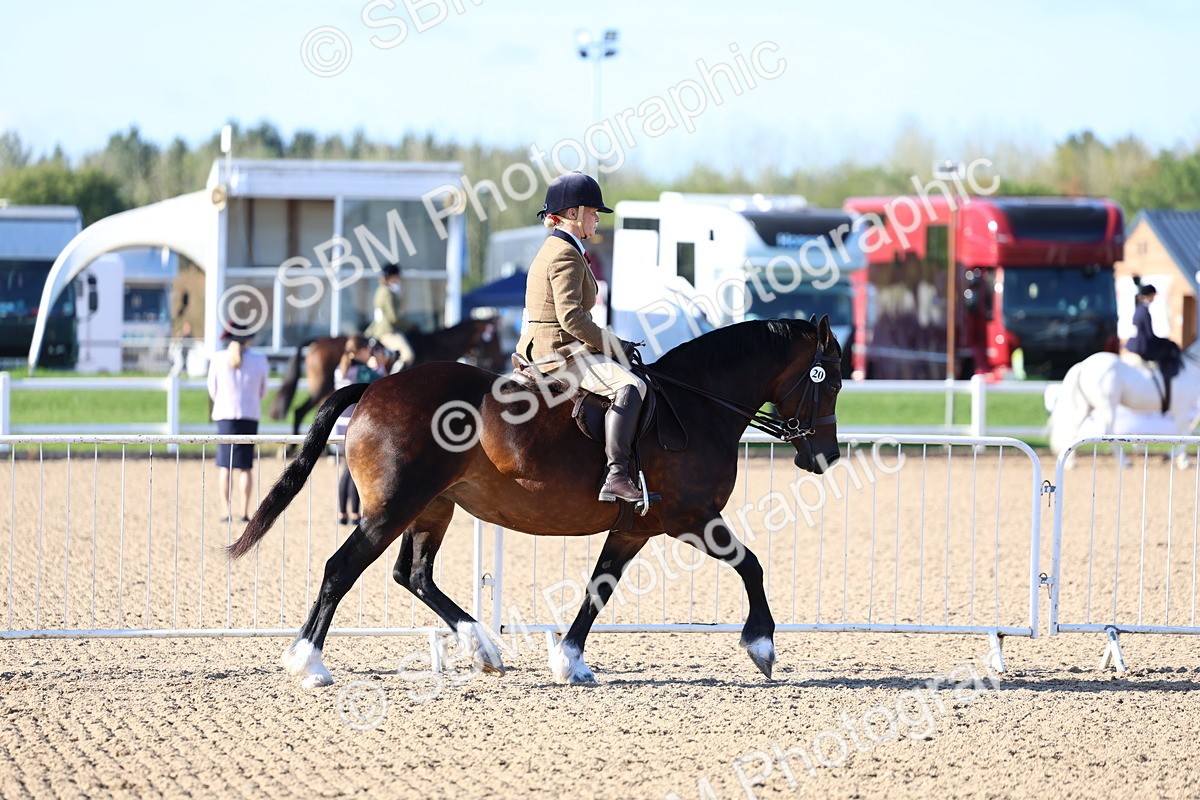 SBM_08727 - Class 302 - Ridden M&M - Large Breeds