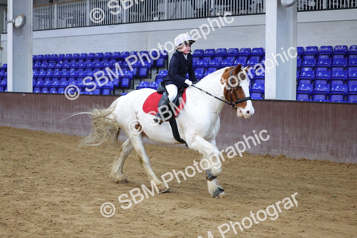 SBM_000274 - Class 1 - Show Jumping 50cm