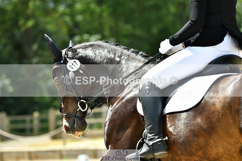 230623-130341-02313 - Cls 4 Novice 37Q 12.45 to End