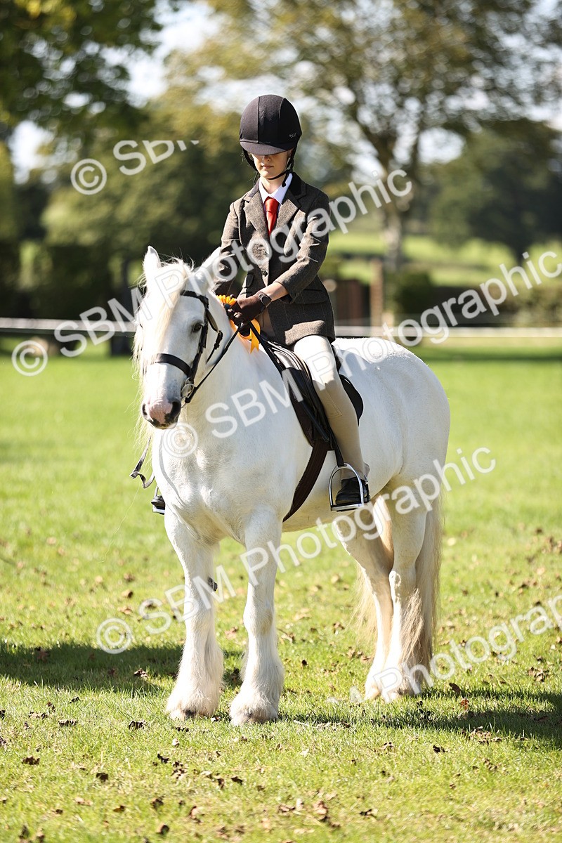 SBM_19366 - S3 - TSR Ridden Pony Showing