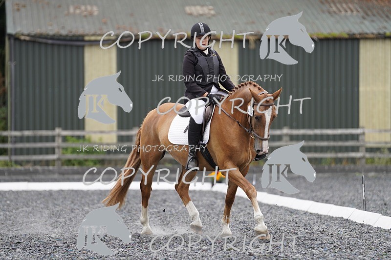 _DSC0974 - PRELIM 2