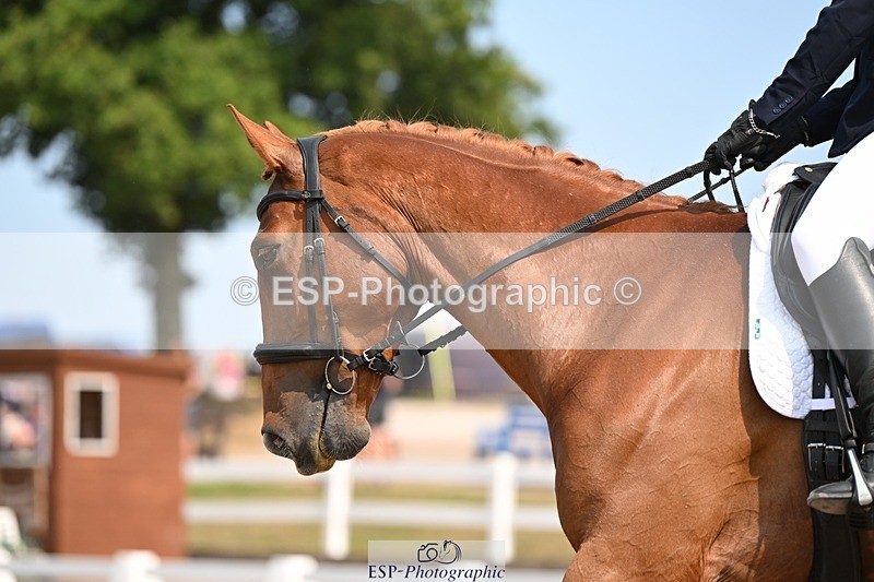 250816-134228-04899 - 080-Elizabeth.StoneZiggy