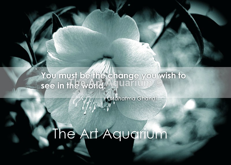 The Art Aquarium - Rachael Inchboard