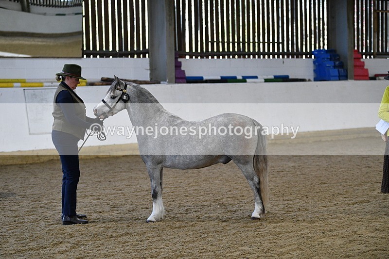 WJ5_3958 - Class 2 Best Condition In hand