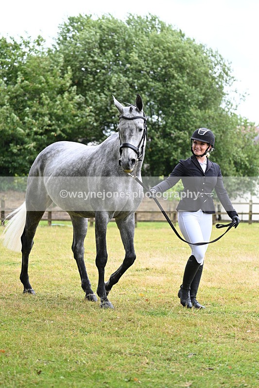 WJ7_6070 - Class 4a Prettiest Mare over 14hh