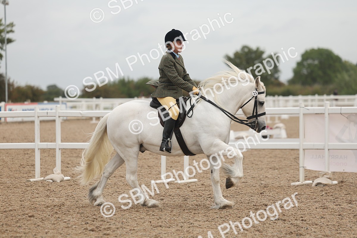 SBM_01886 - Class 14 - Ridden M&M Wildcard