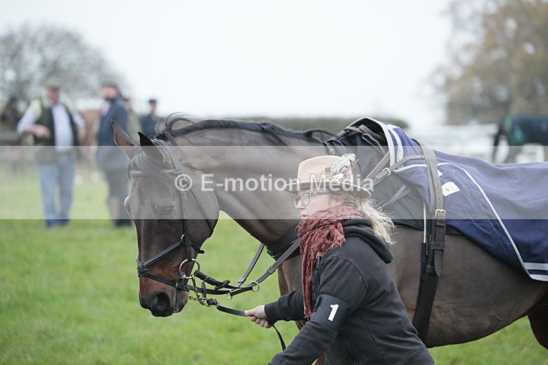 PtP 041222 0574 - Wheatland  Hunt PtP Chaddesley Corbett, Worcs 04/12/22