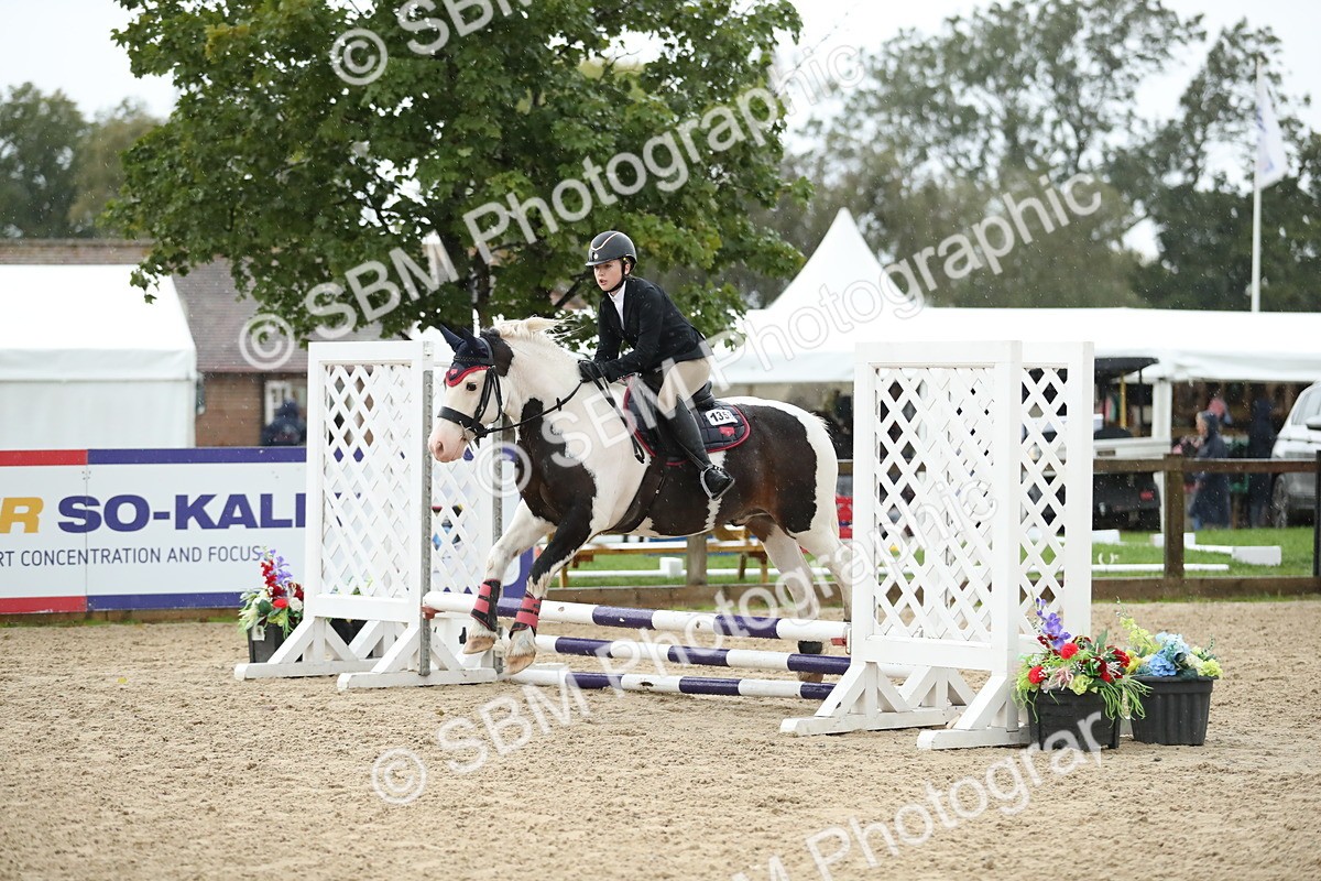 SBM_34354 - J60 Clear Round 50cm