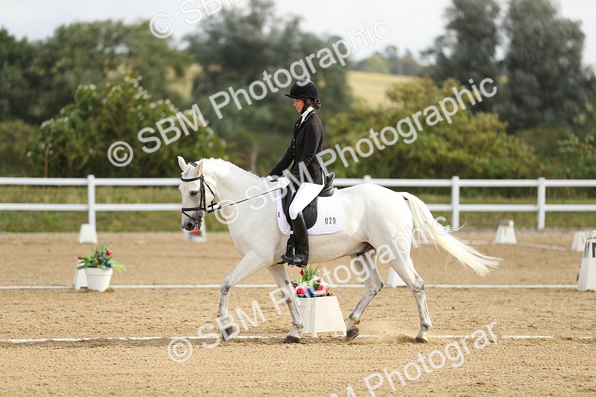 SBM_015504 - Class 13 - Novice 23 - 9.54-11.04