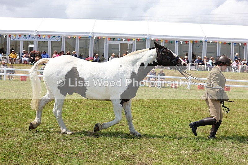 3E7A2210 - Class 10: Open Cob