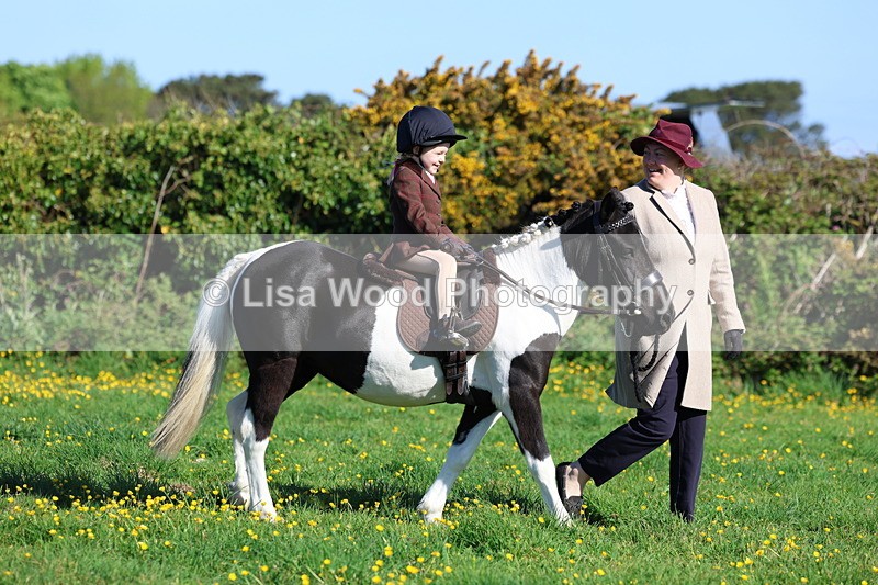 3E7A8485 - Class 2: Lead rein