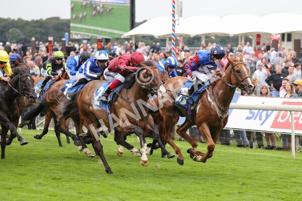 yr19082021r3-31 - Race 3 3.00pm Clipper Logistics Stakes