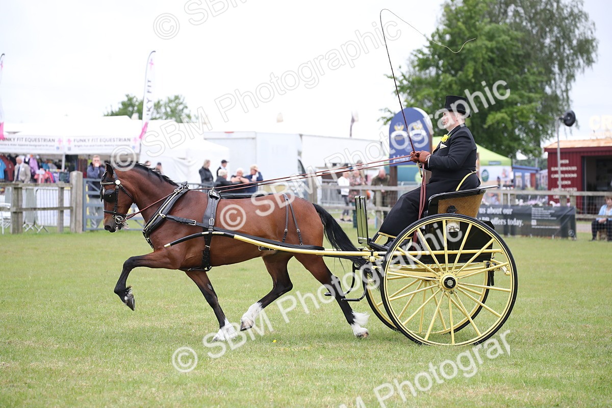 SBM_05755 - Class 12-15 - HOYS Private Driving