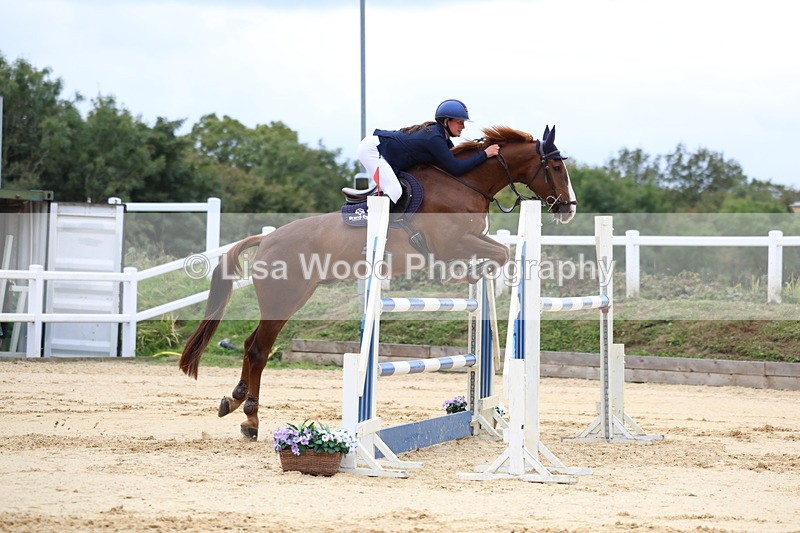 3E7A3348 - Class 9: Senior Foxhunter/1.20 open