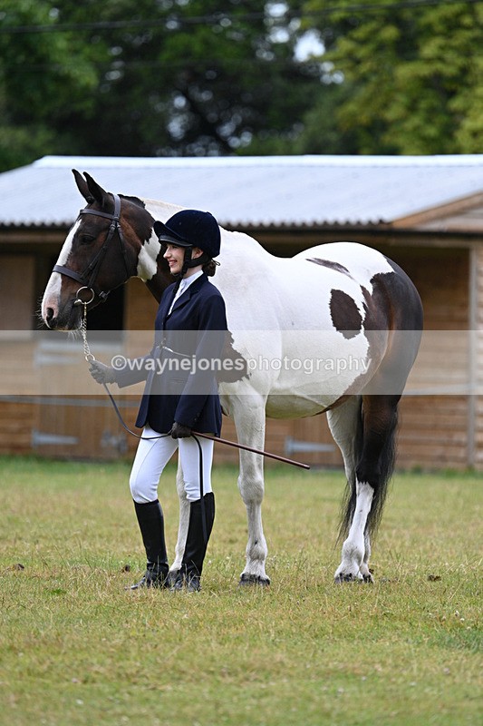 WJ7_6365 - Class 4a Prettiest Mare over 14hh