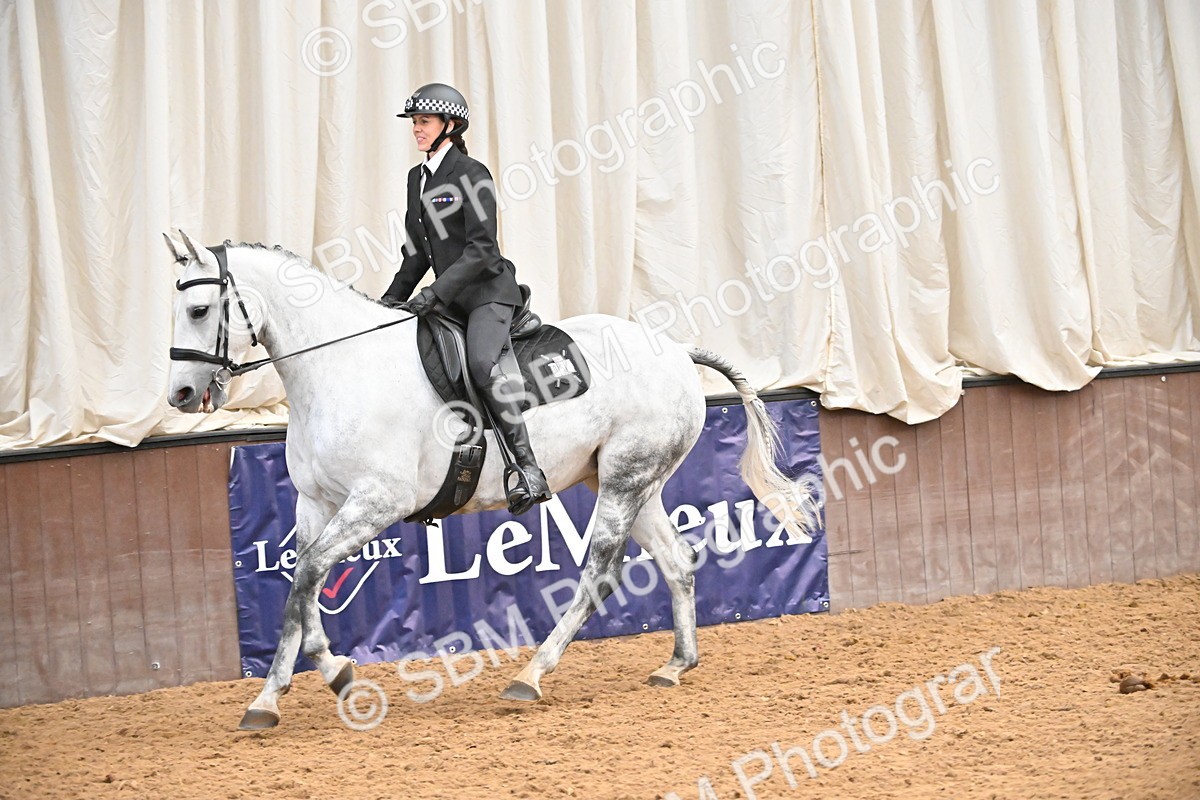 SBM_002644 - Class 28,29 - Ridden Irish & Coloured