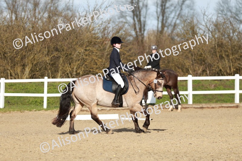 20260314-5383 - DR4 - Prelim 2