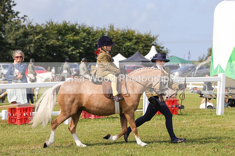 1X9A3579 - Class 29: Lead Rein SP/SHP