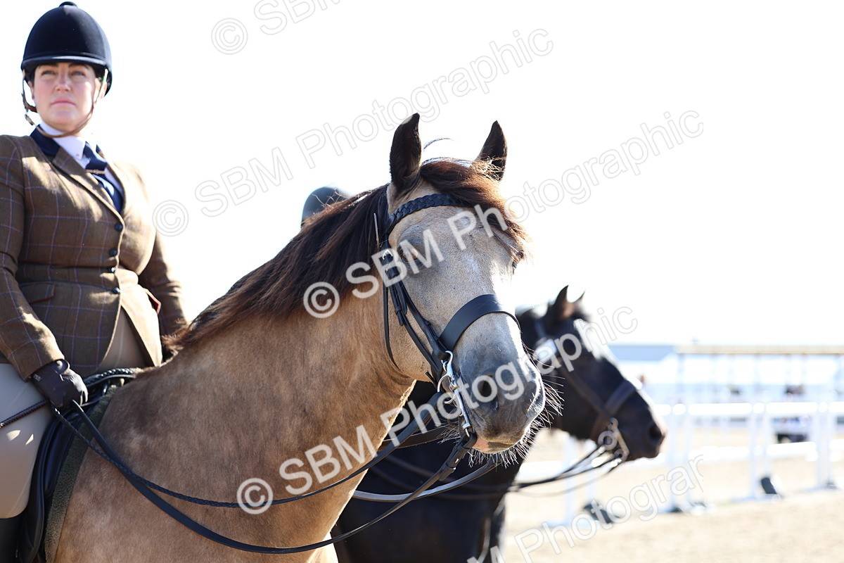SBM_08900 - Class 302 - Ridden M&M - Large Breeds