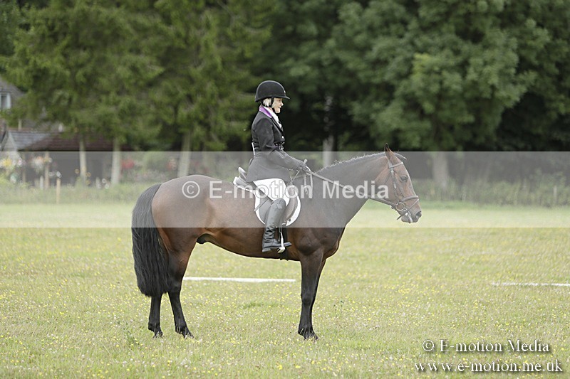 BVR160717-1155 - Class 2 Dressage 16/07/17