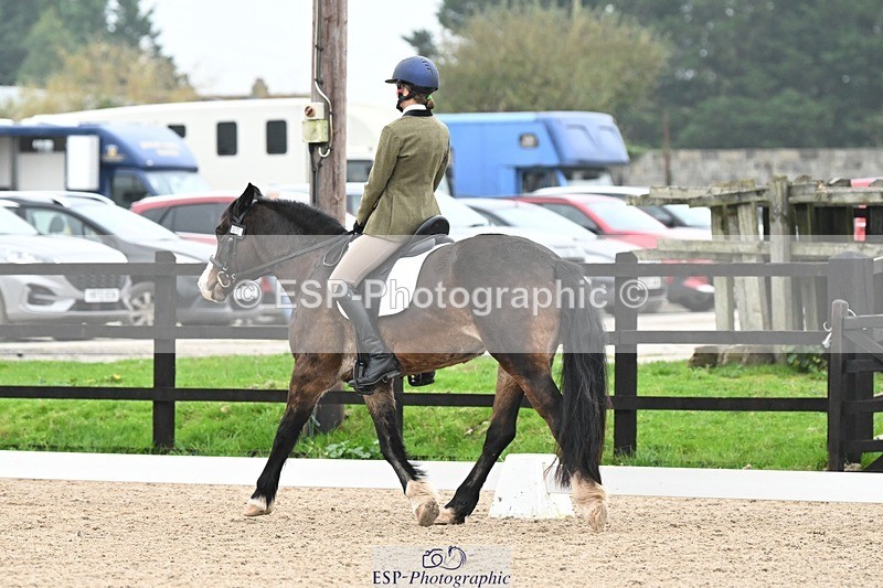 241103-102353-00322 - Intro 3 - 9.40 to 10.40