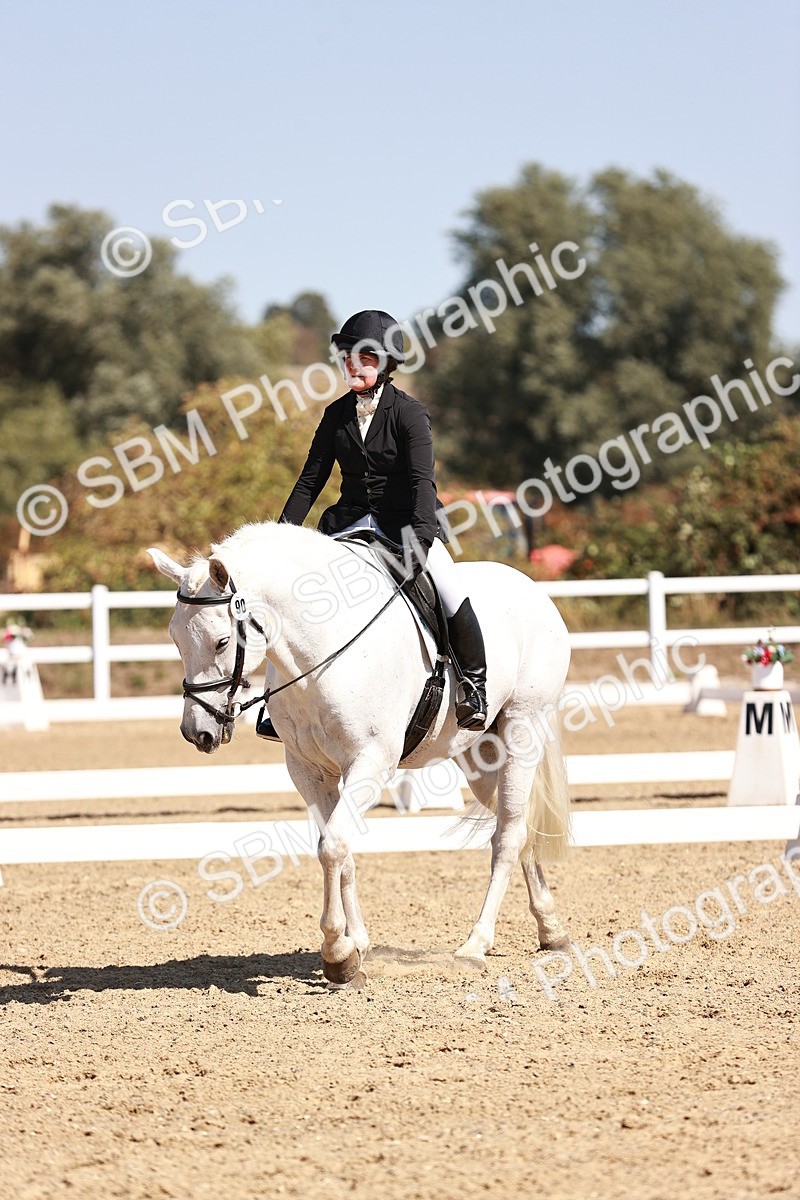 SBM_004966 - Class 12 - Novice 5 - 12.02-12.44