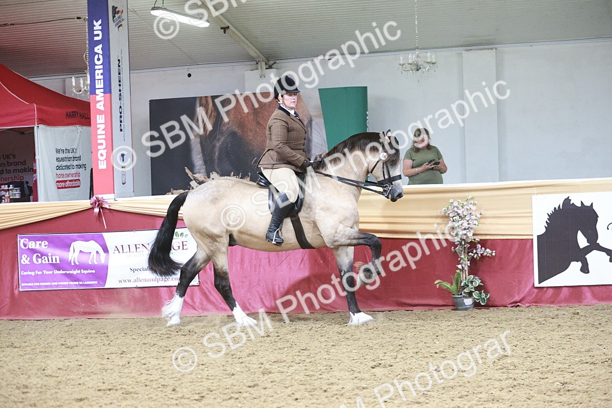 SBM_08835 - Class 12R - Regional Ridden Pre-Vet