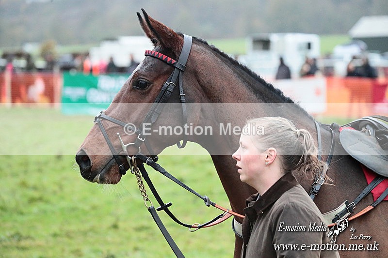 PtP 091125  1196 - Point-to-Point Wales Area Club Lower Machen, Gwent 09/11/25