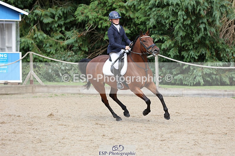 240823X-161133-19585 - 70cm Single Phase All