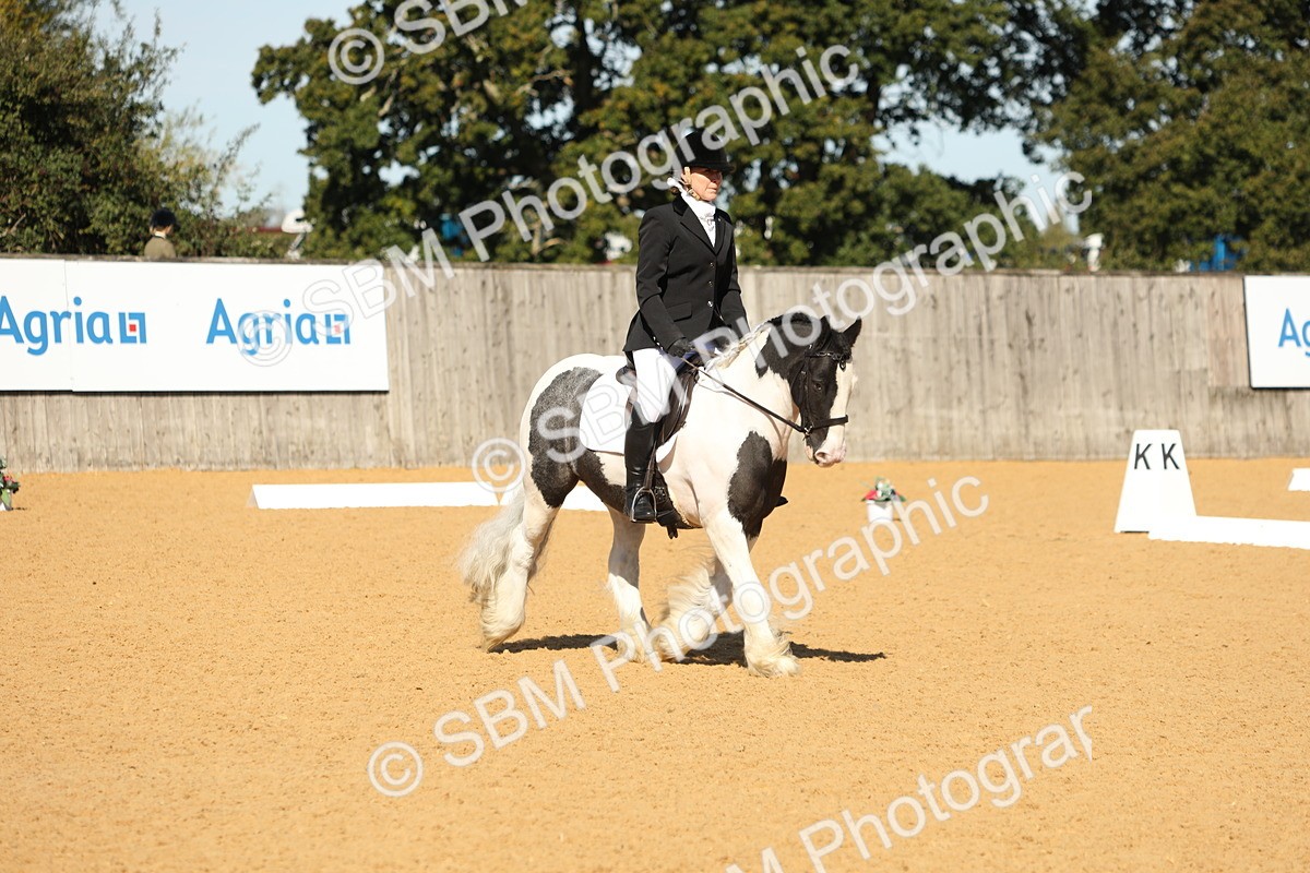 SBM_18857 - D10 - Small Tour Championship - Prelim 2