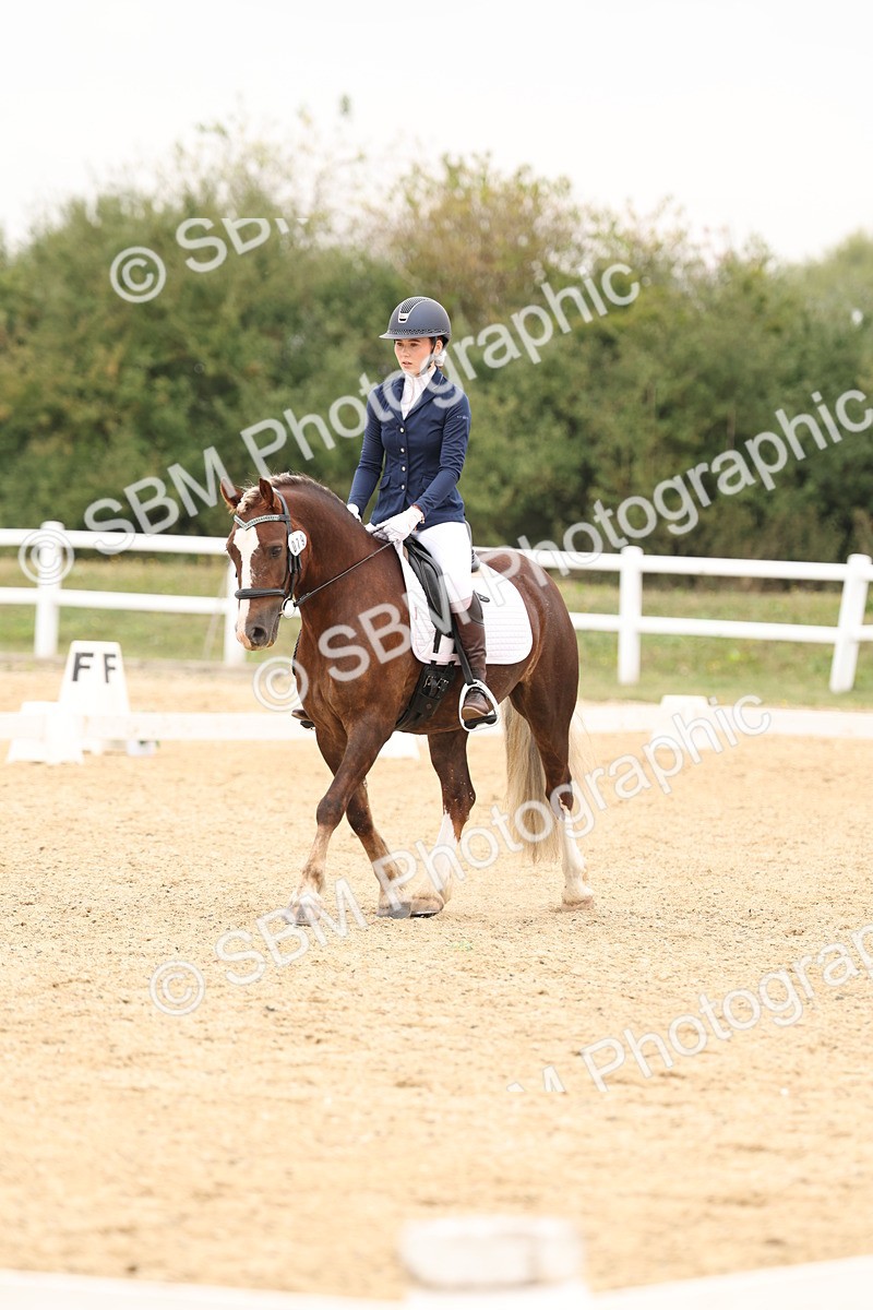SBM_01029 - Class 8 - Novice 27 Champs