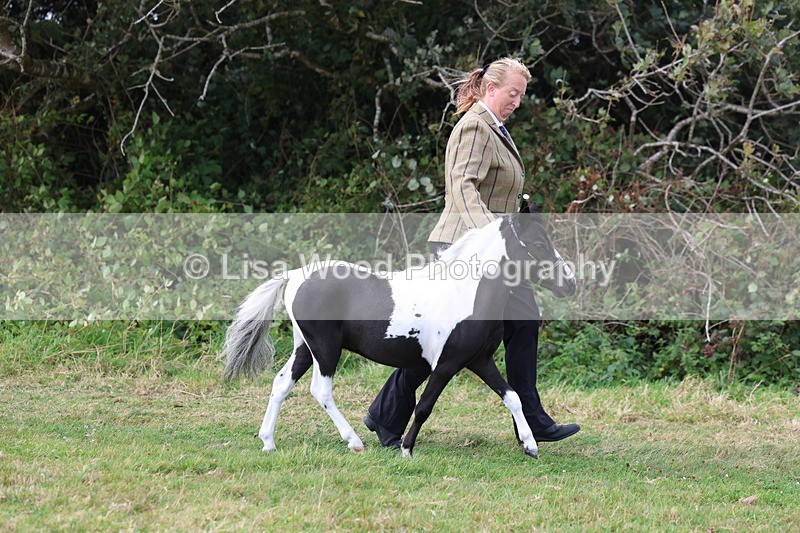 3E7A5384 - Class 19: Best Coloured in Hand