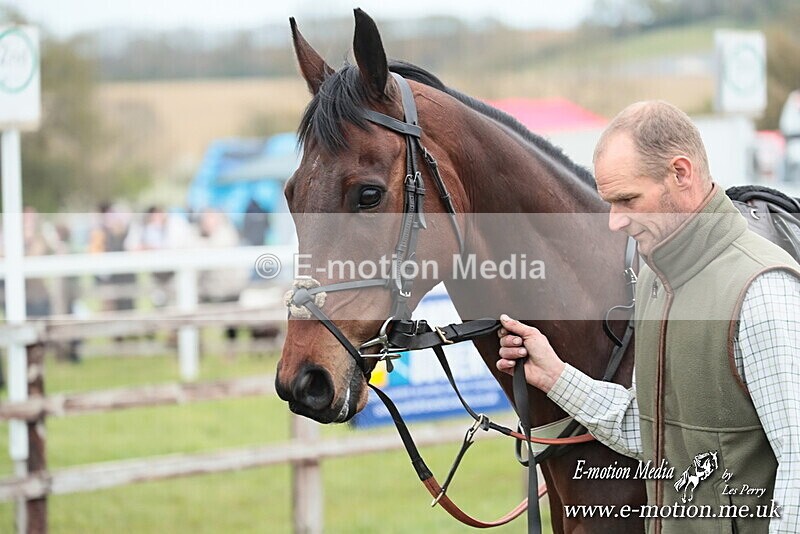 PtP 130425 204 - Edgecote Races 13/04/25