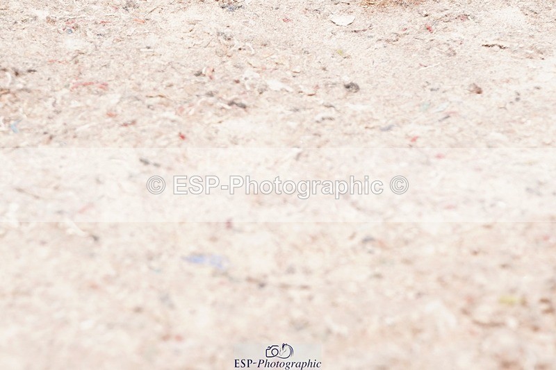 250510-143146-11553 - Cls 16 National 1.30m Open