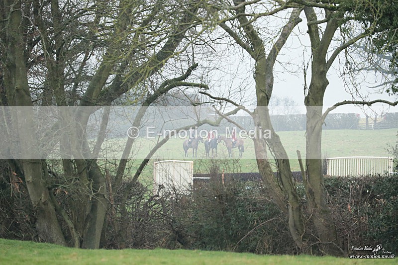 PtP 100324 176 - Pytchley with Woodland Point-to-Point Guilsborough 10/03/24