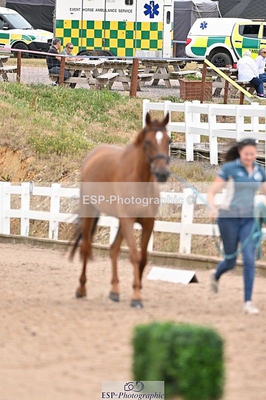 250716-160858-02449 - Trot Up 3.30 to 4.30