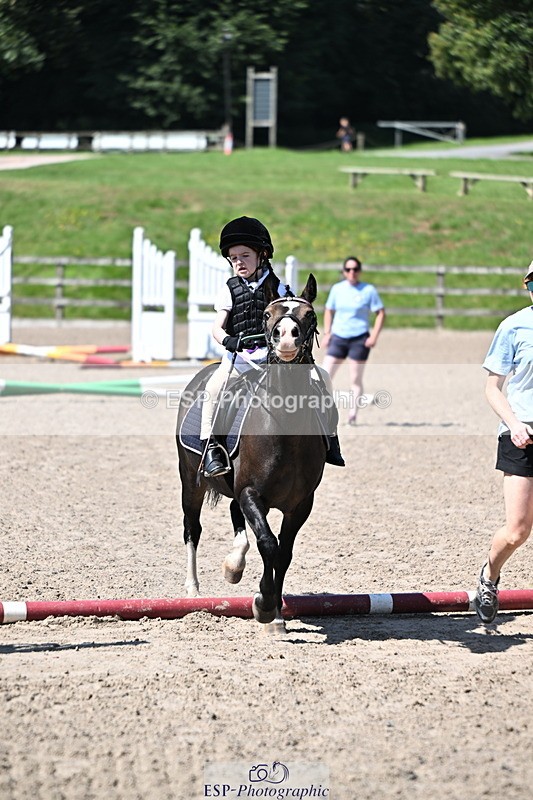 240729B-113826-02462 - Showjumping Competition